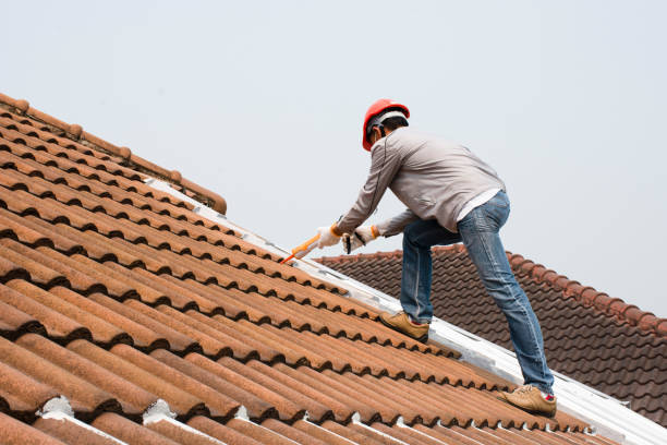 Best Roof Coating and Sealing  in Ellisville, MS