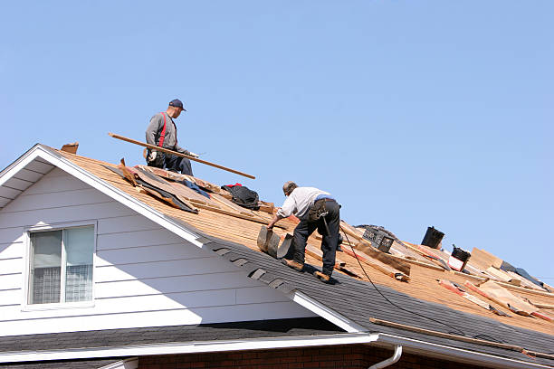 Best Solar Panel Roofing Installation  in Ellisville, MS