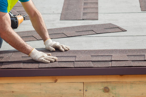 Best Roof Ventilation Installation  in Ellisville, MS